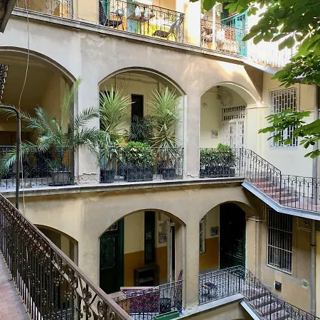 Standard By Hi5 -akácfa 57